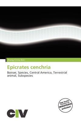 Epicrates cenchria