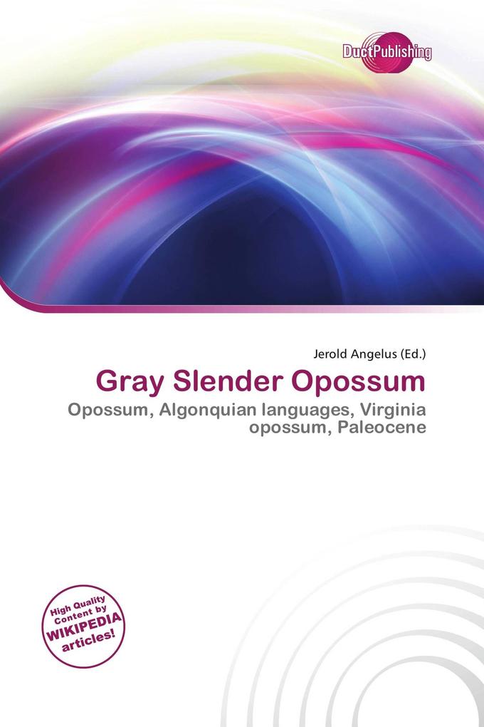 Gray Slender Opossum