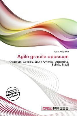 Agile gracile opossum