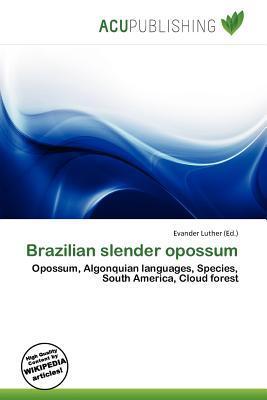 Brazilian slender opossum