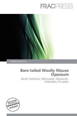 Bare-tailed Woolly Mouse Opossum
