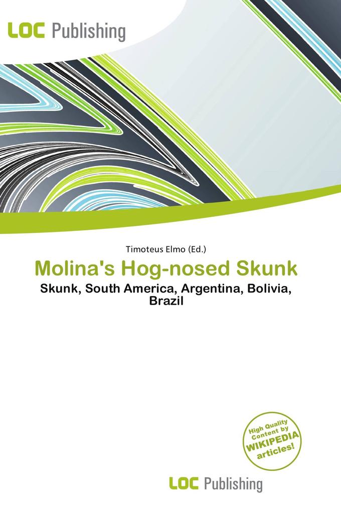 Molina's Hog-nosed Skunk
