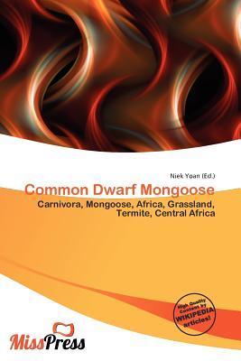 Common Dwarf Mongoose