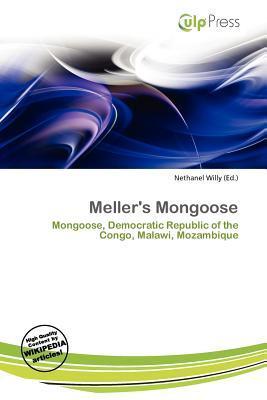 Meller's Mongoose