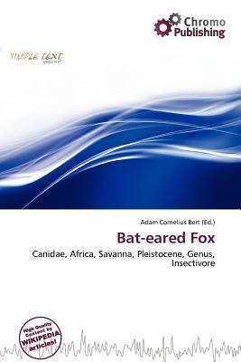 Bat-eared Fox