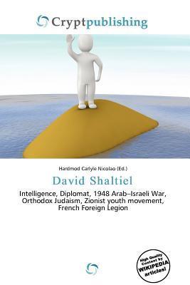 David Shaltiel