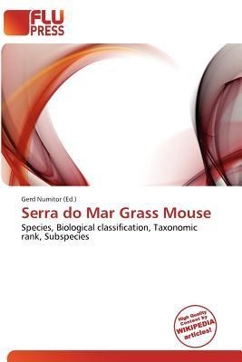 Serra do Mar Grass Mouse