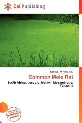 Common Mole Rat