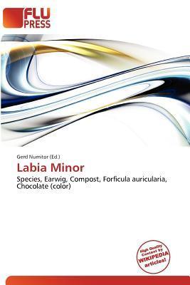 Labia Minor