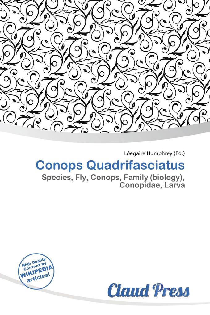Conops Quadrifasciatus