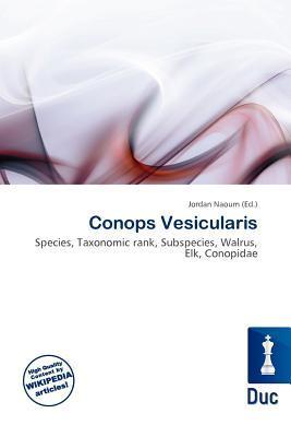 Conops Vesicularis