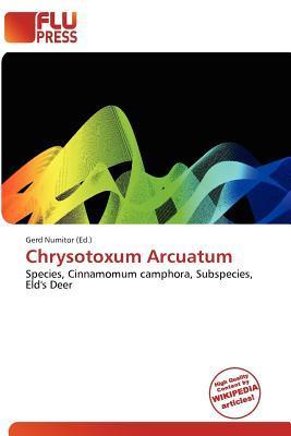 Chrysotoxum Arcuatum