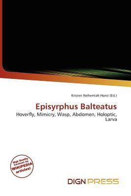 Episyrphus Balteatus