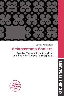 Melanostoma Scalare