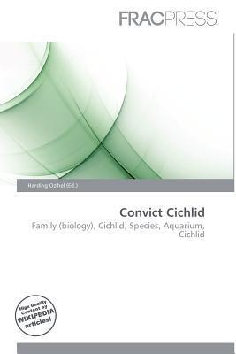 Convict Cichlid