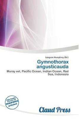 Gymnothorax angusticauda