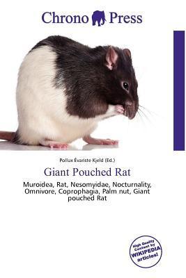 Giant Pouched Rat