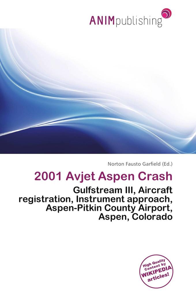 2001 Avjet Aspen Crash