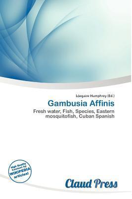 Gambusia Affinis