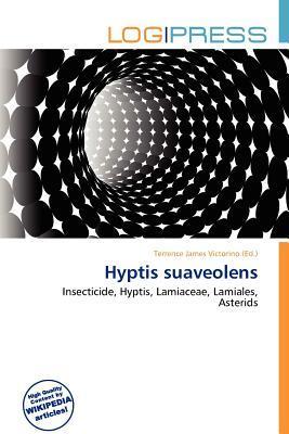 Hyptis suaveolens