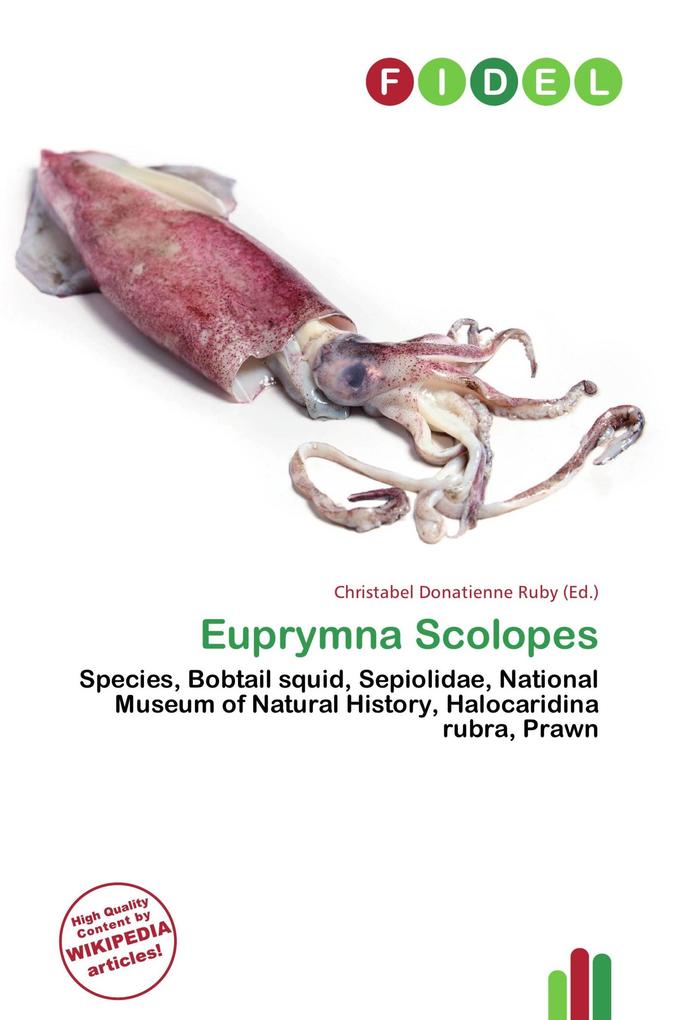 Euprymna Scolopes