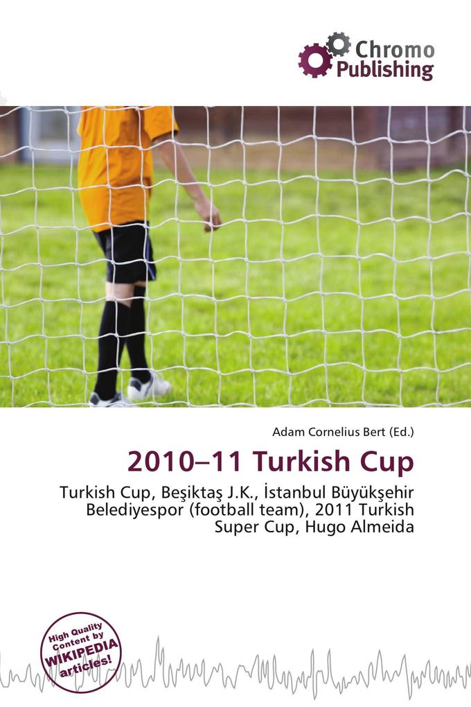 2010-11 Turkish Cup