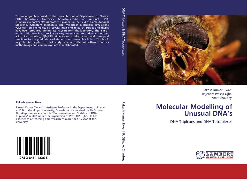 Molecular Modelling of Unusual DNA's