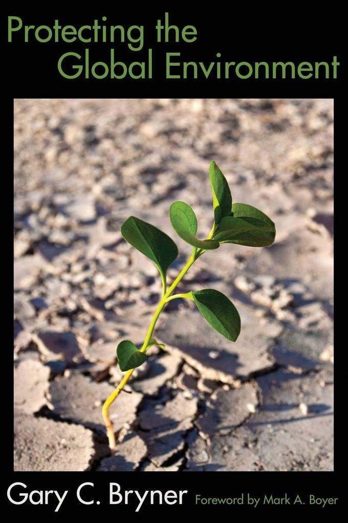 Protecting the Global Environment