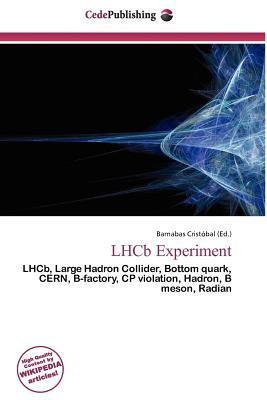 LHCb Experiment