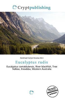Eucalyptus rudis