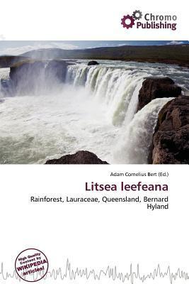 Litsea leefeana