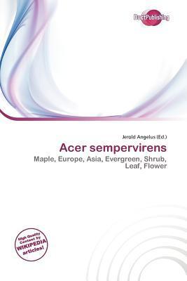 Acer sempervirens