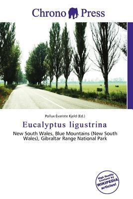 Eucalyptus ligustrina