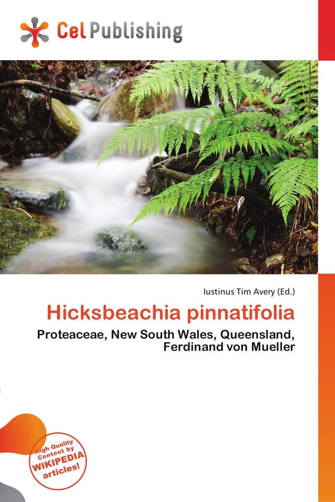 Hicksbeachia pinnatifolia