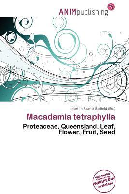 Macadamia tetraphylla