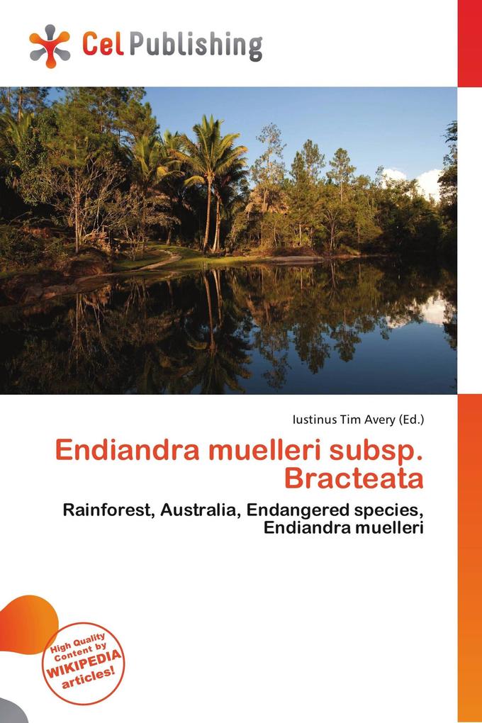 Endiandra muelleri subsp. Bracteata