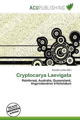Cryptocarya Laevigata