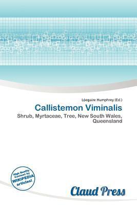 Callistemon Viminalis