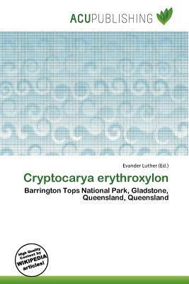Cryptocarya erythroxylon