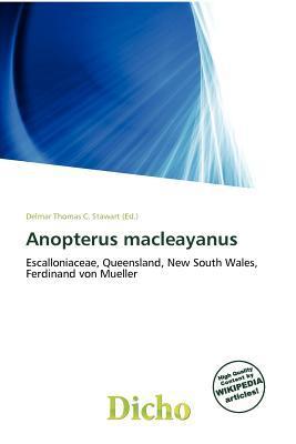 Anopterus macleayanus