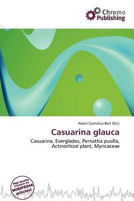 Casuarina glauca