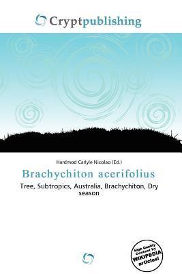 Brachychiton acerifolius