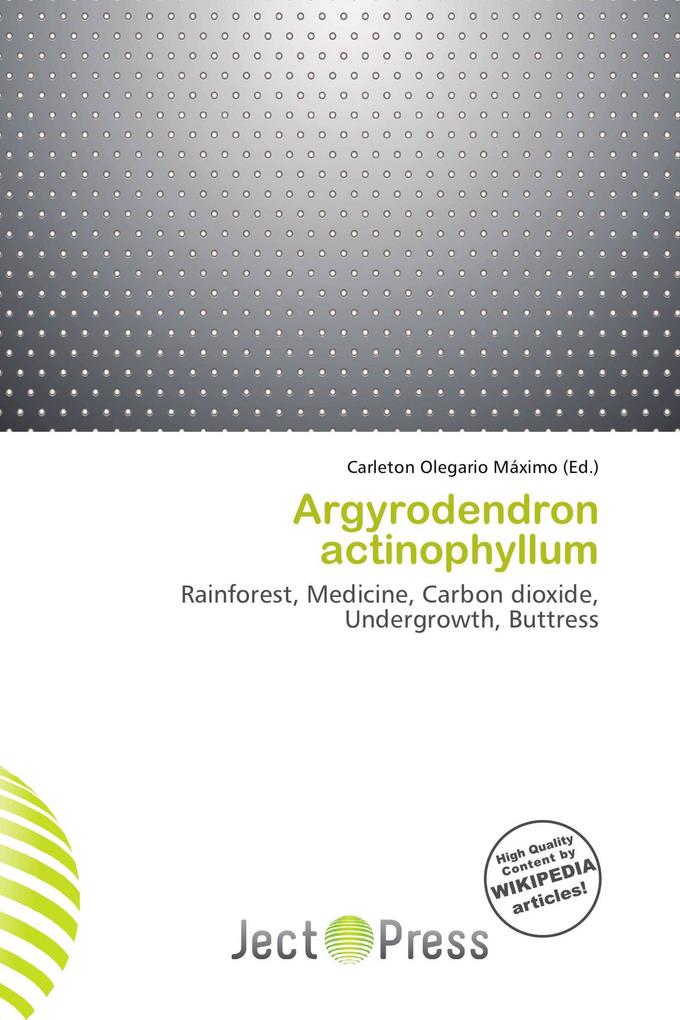 Argyrodendron actinophyllum