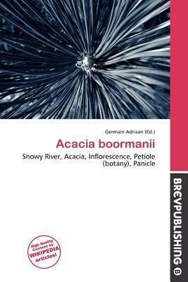 Acacia boormanii