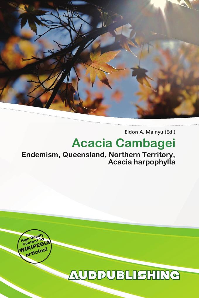 Acacia Cambagei