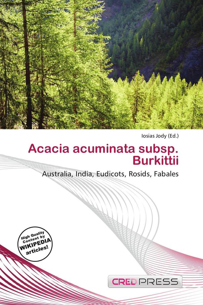 Acacia acuminata subsp. Burkittii