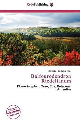 Balfourodendron Riedelianum
