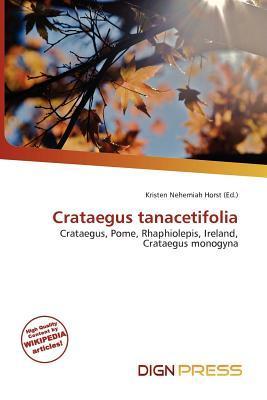 Crataegus tanacetifolia
