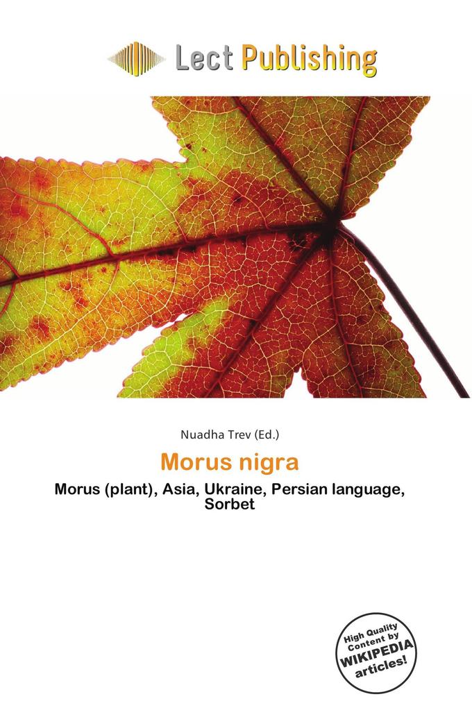 Morus nigra