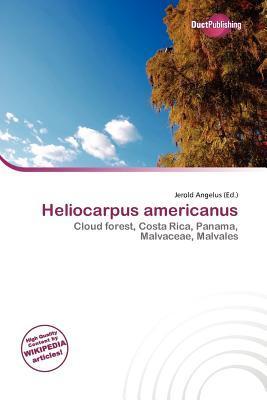 Heliocarpus americanus